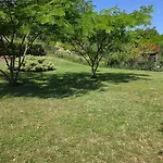 Dunakanyar View Nagymaros